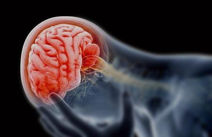 Lee más sobre el artículo Anoxia cerebral. Síntomas, causas y tratamiento